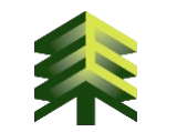 Evergreen Foam & Insulation